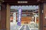 街角の梅見　西陣の梅