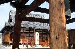 街角の梅見　西陣の梅