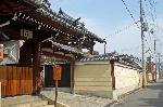街角の梅見　西陣の梅 : 曹洞宗慈眼寺前の出水通である。