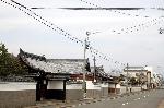 街角の梅見　西陣の梅