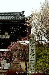 京都　芸能の神