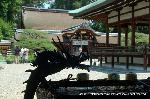 京都　芸能の神
