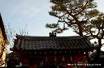 東山散策とくくり猿