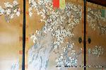 三船祭　車折神社 : 桜の障壁画
