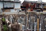 続　秀吉が京都に残したもの　聚楽第 : 奥が南外濠の北岸　濠の幅は40ｍ