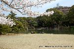 続　秀吉が京都に残したもの　聚楽第の遺構とお土居