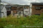 続　秀吉が京都に残したもの　御土居 : 御土居の頂上部