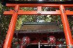 続　秀吉が京都に残したもの　御土居