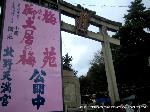 続　秀吉が京都に残したもの　御土居 : 御土居の梅・梅苑公開