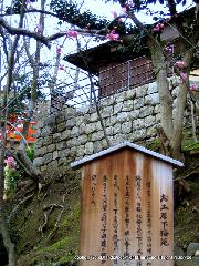 続　秀吉が京都に残したもの　御土居 : お土居下梅苑