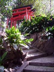 続　秀吉が京都に残したもの　御土居