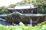 あじさい寺に宇治十帖