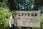 あじさい寺に宇治十帖