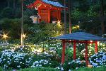あじさい寺に宇治十帖