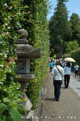 あじさい寺に宇治十帖