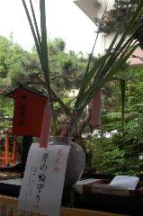 水無月の祓い : 茅の輪守り