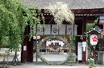 水無月の祓い : 提灯の社紋で桜の名所であることが分かる