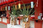 水無月の祓い : 茅の輪守り