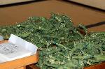 水無月の祓い : 新熊野のてづくり茅の輪