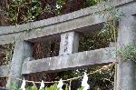茅の輪潜りにきゅうり封じ : 疫神社鳥居