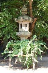 萩とおはぎ : 拝殿前の左右一対に植栽されている