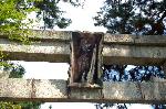 萩とおはぎ : 一の鳥居