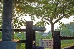 安倍晴明 / 王権と陰陽師