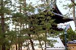 大徳寺塔頭芳春院　秋の定期拝観 : 鐘楼