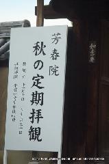 大徳寺塔頭芳春院　秋の定期拝観 : 芳春院・・・秋の定期拝観