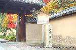 大徳寺塔頭芳春院　秋の定期拝観