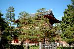 大徳寺塔頭芳春院　秋の定期拝観 : 山門