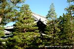 大徳寺塔頭芳春院　秋の定期拝観 : 仏殿