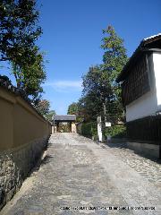 大徳寺塔頭芳春院　秋の定期拝観 : 本坊の塀沿い