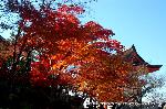 知られざる清水寺境内の紅葉