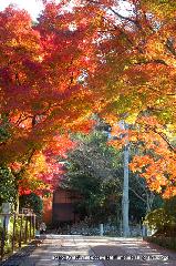 知られざる清水寺境内の紅葉