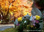 知られざる清水寺境内の紅葉 : 左手に成就院、右手は北総門