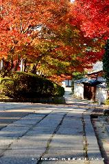 近場で紅葉狩 : 坂の上の背後には成就院へと続く