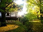 広隆寺　聖徳太子御火焚祭 : 紅葉も黄葉も楽しめる 