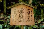 洛中黄葉街道