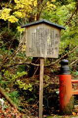 最後の紅葉あれこれ