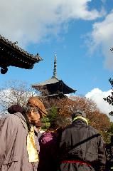 師走の東寺 : 南大門前から五重塔