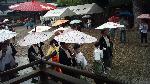 京都街角風景 : 舞扇堂　水上 裕之さん　７月１日、いよいよ京都の夏を彩る祇園祭のスタートとなる吉符入りです！
八坂神社ではこのように禿を従えた長刀鉾のお稚児さんが、参拝ご祈祷の後で、本殿の周りを３周廻られます。私はその間に本殿で月次参拝のご祈祷を受けてました。A^^;
これは本殿待合からの写真です。
